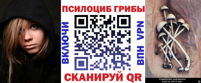 Галлюциногенные грибы мухоморы  Купить  Липецк 